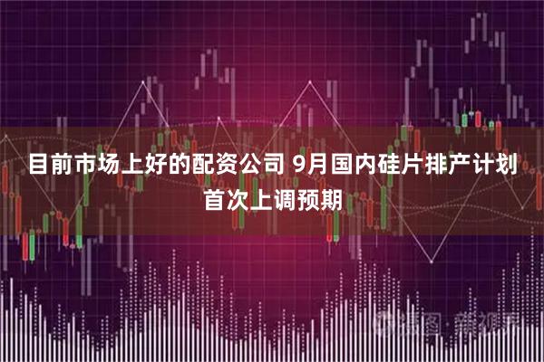 目前市场上好的配资公司 9月国内硅片排产计划首次上调预期